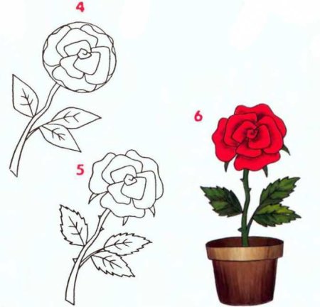 Роза рисунок 2 класс