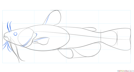 Схема рисования сома