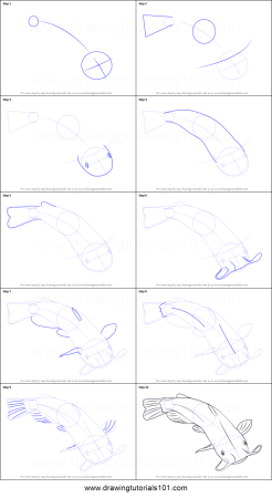 Сом рисунок пошагово