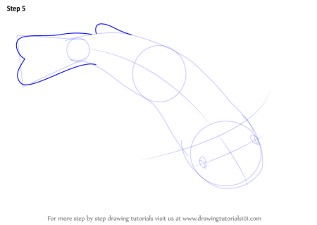 Поэтапное рисование сома