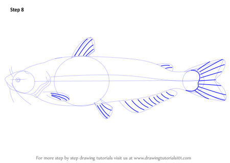 Сом рисунок поэтапный