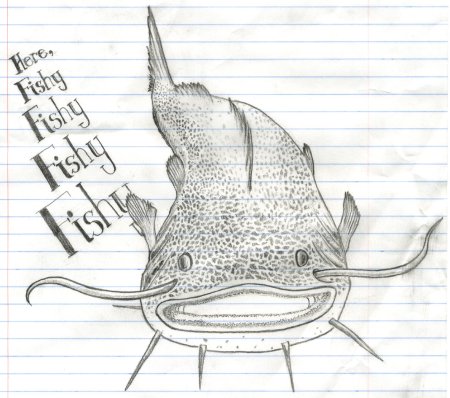 Рисунок сома карандашом
