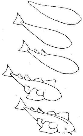 Поэтапное рисование сома