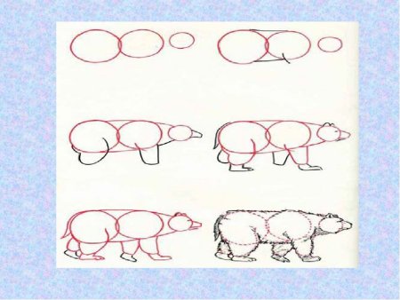 Схема рисования медведя в старшей группе