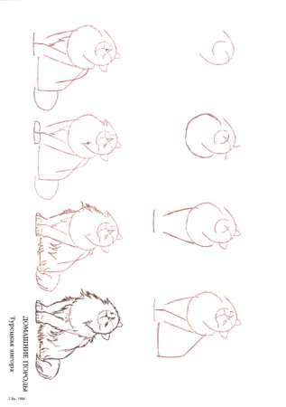 Поэтапное рисование кота вислоухого