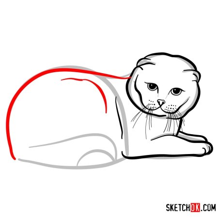 Вислоухий кот карандашом