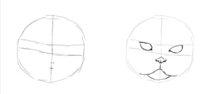 Поэтапное рисование вислоухой кошки