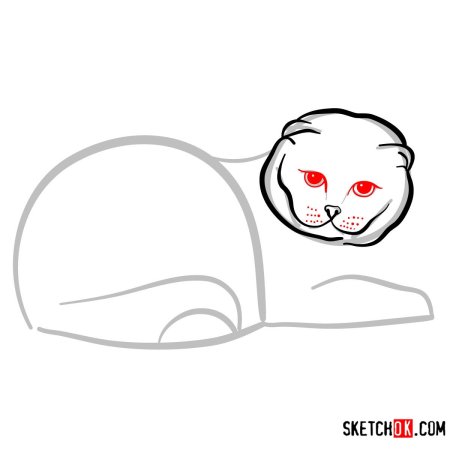 Поэтапное рисование кота вислоухого
