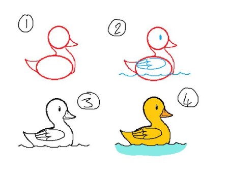 Как нарисовать уточку ребенку