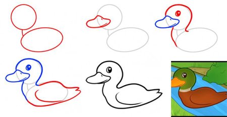 Пошаговое рисование уточки