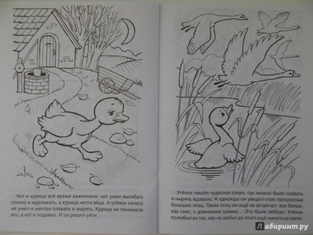 Иллюстрация к сказке Гадкий утенок 3 класс
