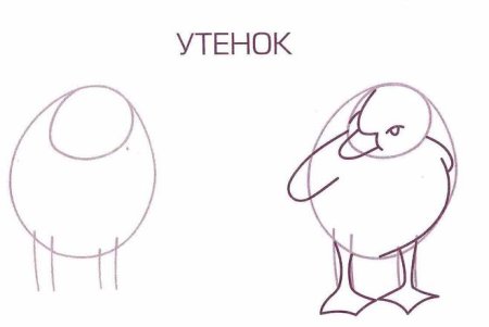 Поэтапное рисование гадкого утёнка