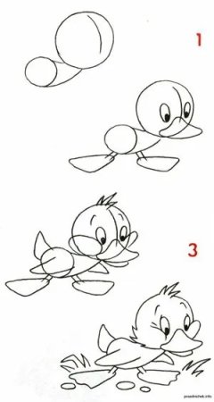Пошаговое рисование уточки