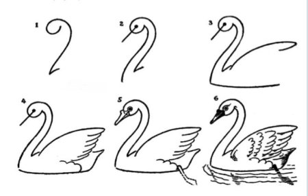 Как нарисовать лебедя из сказки Гадкий утенок поэтапно