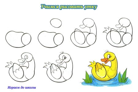 Легкий рисунок утки