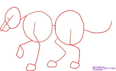 Койот рисунок поэтапно