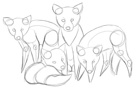 Койот референс