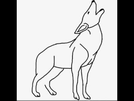 Нарисовать волка по немецкому языку