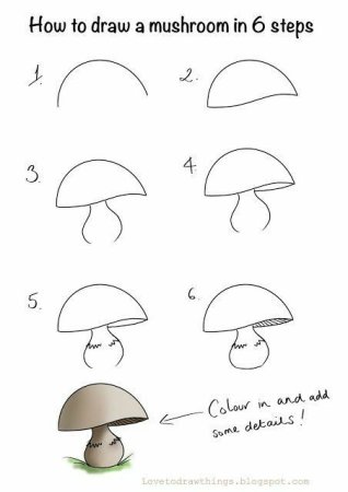 Рисунок белый гриб поэтапно (51 фото)