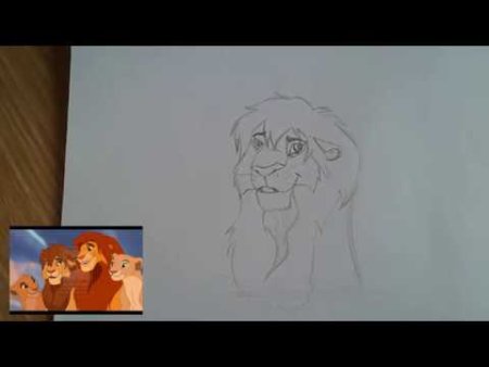 Как нарисовать Симбу из короля Льва поэтапно