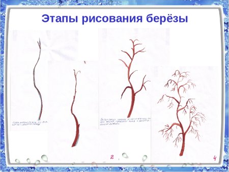 Этапы рисования дерева