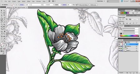 Рисунки на графическом планшете для начинающих