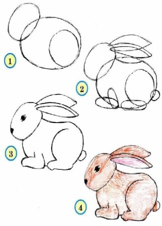 Как нарисовать зайку легко для детей