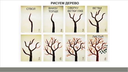 Этапы рисования дерева