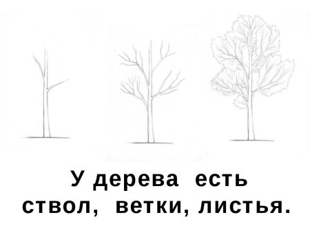 Изо дерево 2 класс