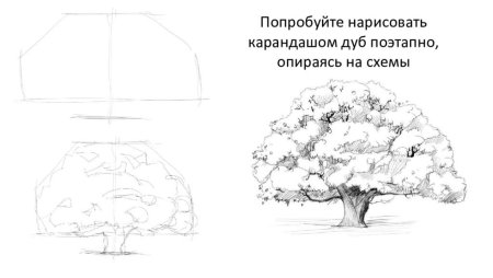 Изобразить ветер с деревом
