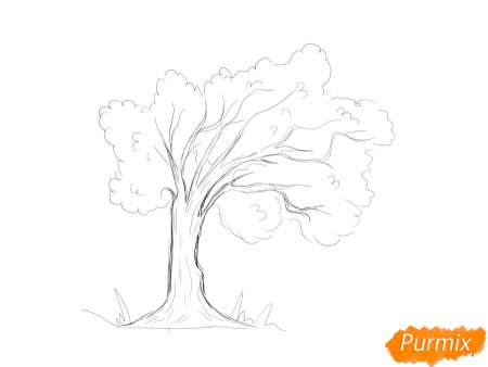 Рисунок дерево карандашом для срисовки