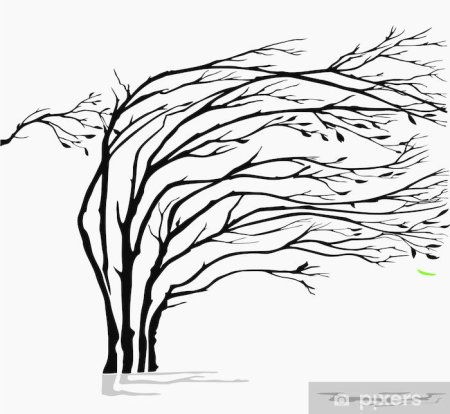 Пошаговый рисунок природы