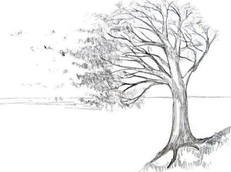 Дерево карандашом
