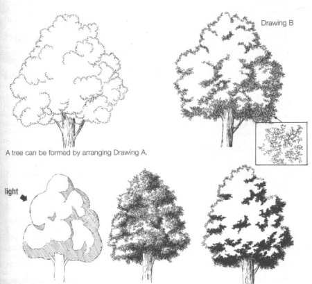 Рисунок дерево 4 класс