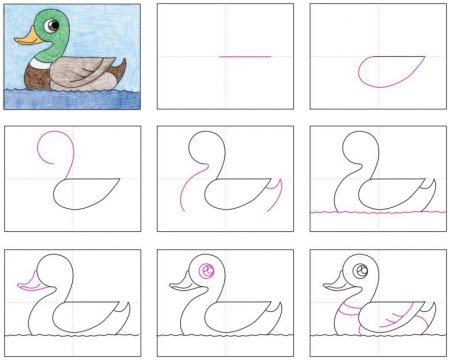 Этапы рисования уточки