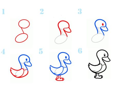 Уточка рисунок пошагово