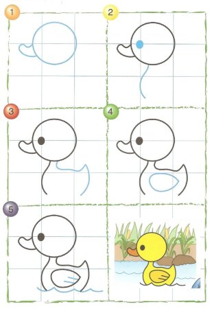 Курица поэтапное рисование