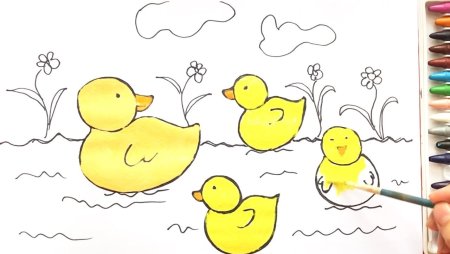 Нарисовать утку пошагово
