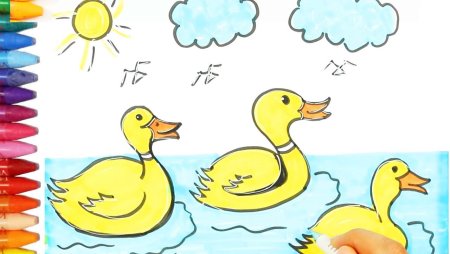 Схема рисования птицы в старшей группе