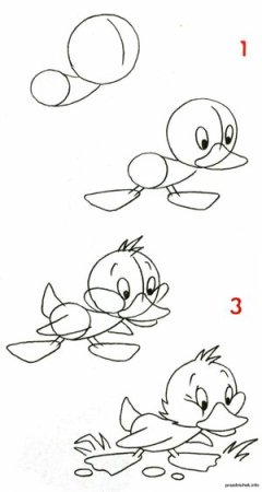 Рисунок утенка для детей карандашом срисовать