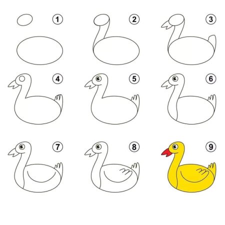 Утенок поэтапное рисование
