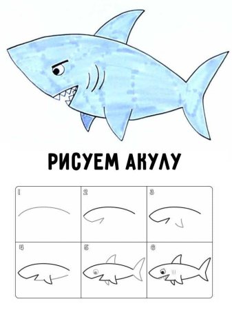 Рисование акулы поэтапно