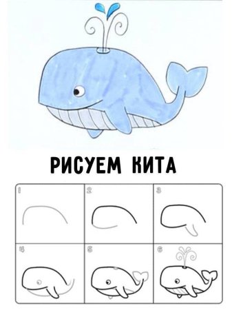 Поэтапное рисование касатки