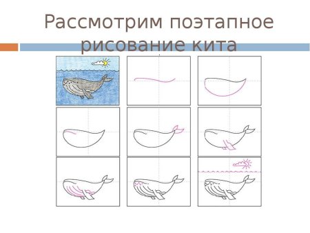Поэтапное рисование кита для дошкольников