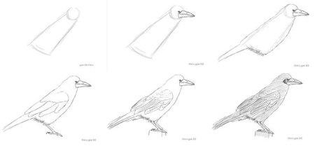 Ворона и лисица