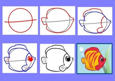 Поэтапное рисование рыбки