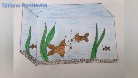 Рисование аквариума в 1 классе