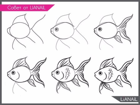 Рисование рыбки поэтапно