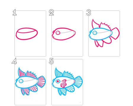 Алгоритм рисования рыбки