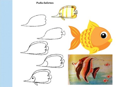 Аквариум скетч